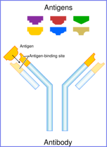 dental material testing