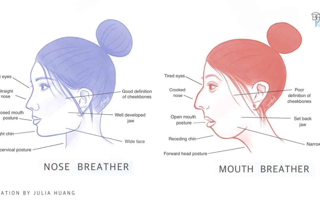Why do People Mouth Breathe?