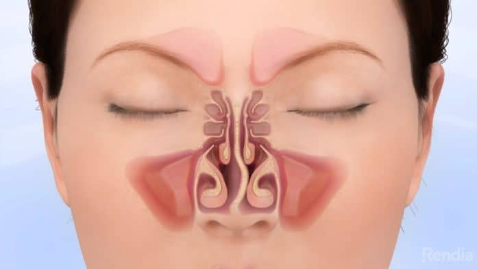 small nose and mouth breathing